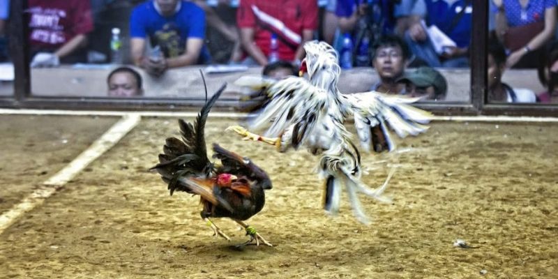 five88 win ﻿đăng nhập lô đề uy tín