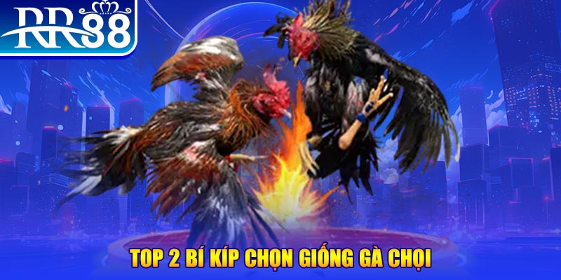five88 win bắn cá h5