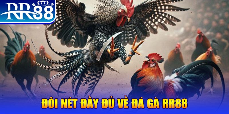 five88 win gà chọi hoà phong
