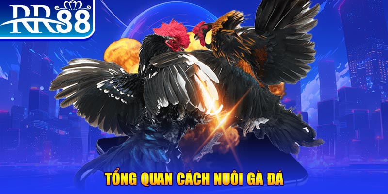 five88 win xổ số thứ ba