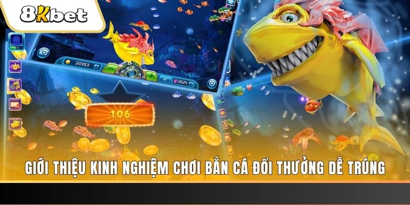 five88 win xổ số miền bắc hôm