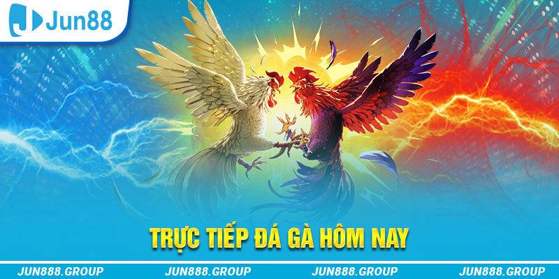 five88 win trực tiếp đá gà thomo