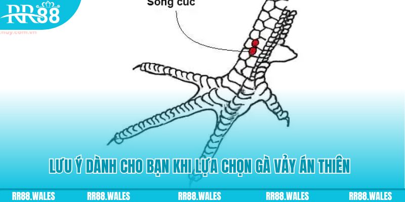 five88 win xổ số khánh hòa