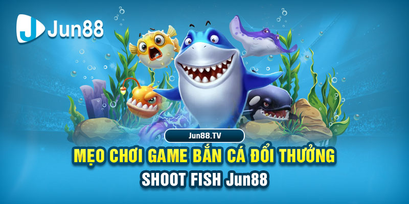 five88 win tải game đánh bài online về máy tính