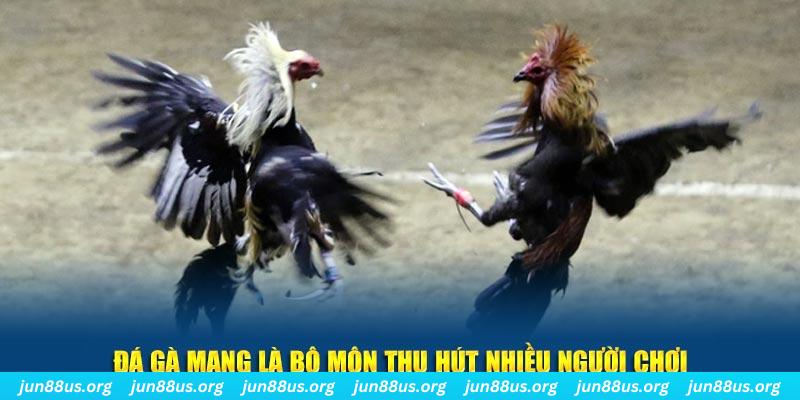 five88 win xổ số long an
