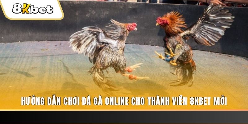 five88 win nổ hũ đổi thưởng . ai