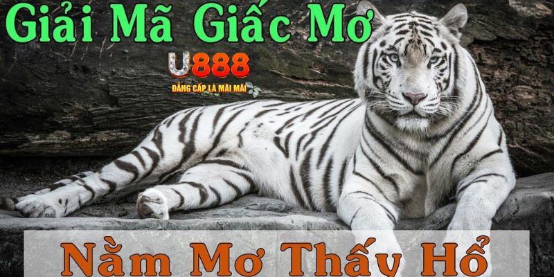 five88 win Bài Poker Joker