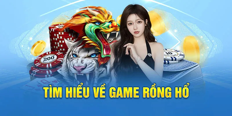 five88 win ai tool slot 8.0