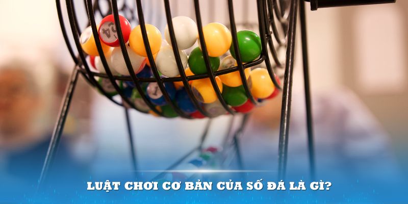five88 win Đĩa màu ace