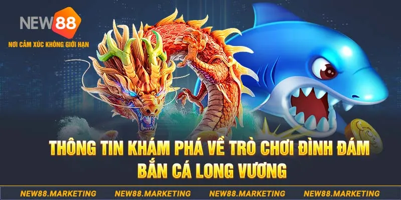 five88 win choi ga c1
