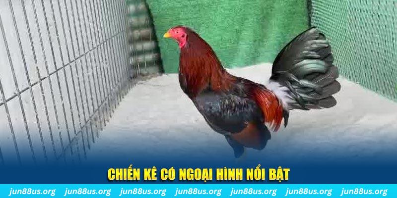 five88 win nhạc slot là gì